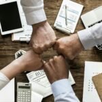 processos de gestão organizacionais